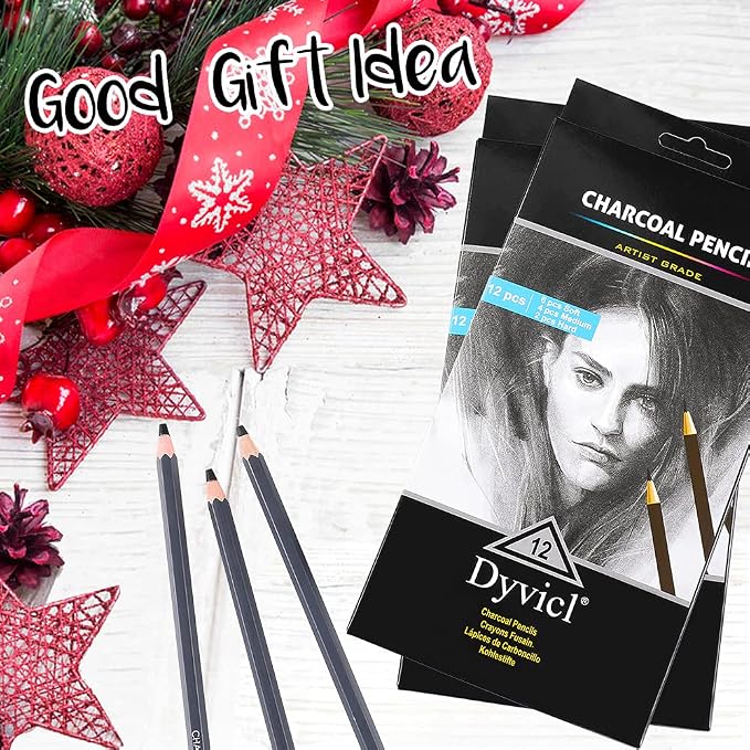 Dyvicl Professional Charcoal Pencils Drawing Set - 12 Pieces Soft Medium and Hard Charcoal Pencils for Drawing, Sketching, Shading, Artist Pencils for Beginners & Artists
