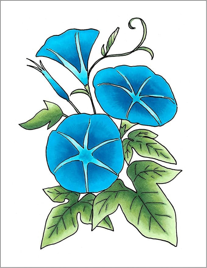 Copic Sketch Fusion #6 Blue 3-Color Refillable Dual-Tip Alcohol Markers