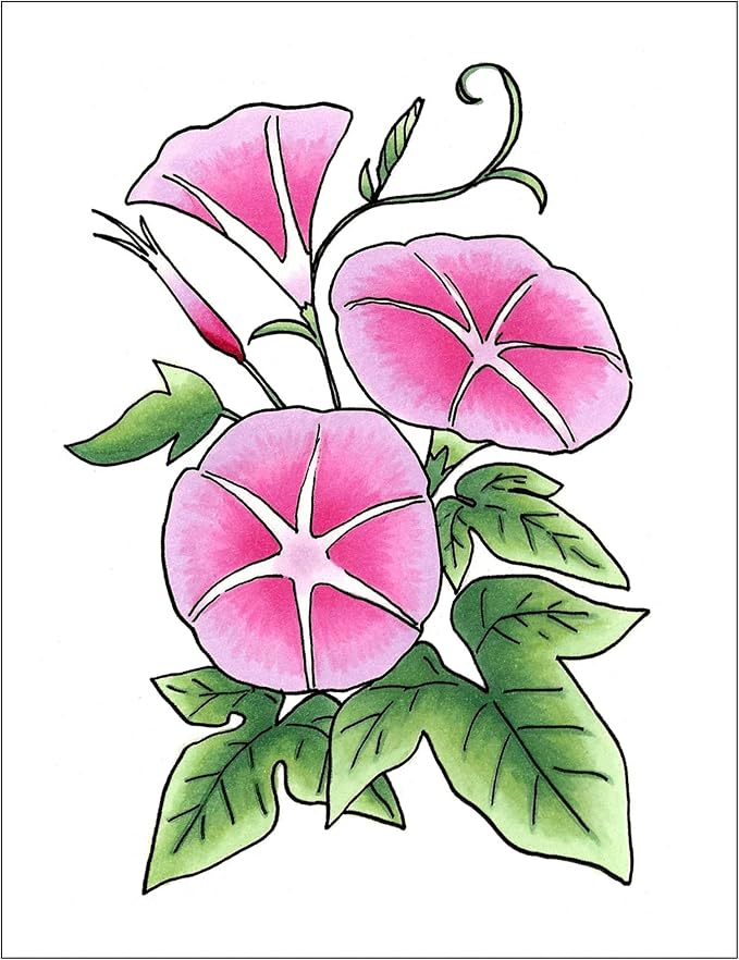 Copic Sketch Fusion #2 Pink 3-Color Refillable Dual-Tip Alcohol Markers