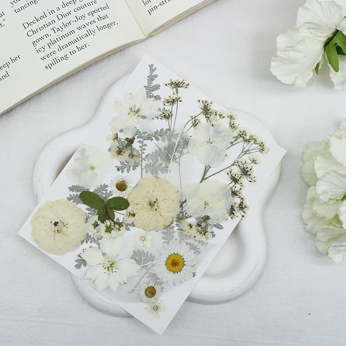 Real Nature Dried Pressed Flowers Leaves(120PcsPink White Purple)