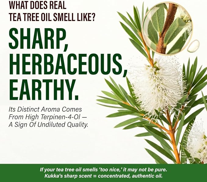 100% Pure Tea Tree Oil - 4 Fl Oz Tea Tree Essential Oil for Hair, Skin, Diffuser, Aromatherapy & DIY Soap Making Scent (Pack of 3)