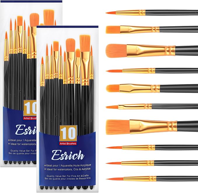 ESRICH 20PCS Paint Brushes, Paint Brush for Acrylic Painting | Artist Paintbrushes for Oil Watercolor, Body Face Rock Canvas, Small Paint Brushes for Kids, Black