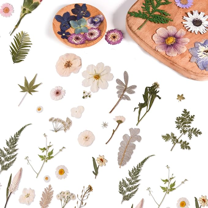 80PCS Natural Color Pressed Dried Flowers, White