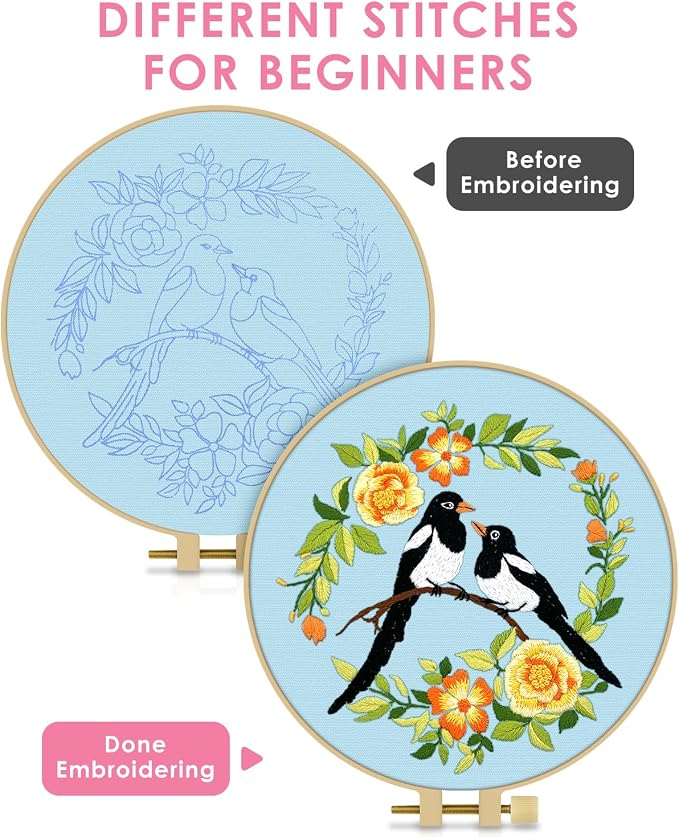 TINDTOP Embroidery Kit for Beginners Adult, Bird Embroidery Kit | Include Embroidery Cloth Hoops Threads for Craft Lover Hand Stitch with Embroidery Skill Techniques