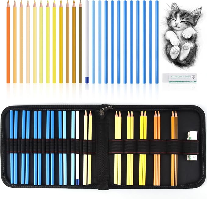 Professional Drawing Set,12 Colored Pencils,12 Graphite Pencils,Eraser,Case | Portable Travel Colored Pencil Case,Sketching Shading Blending Art Supplies,Gifts for Artists Adults Beginners.Yellow Black