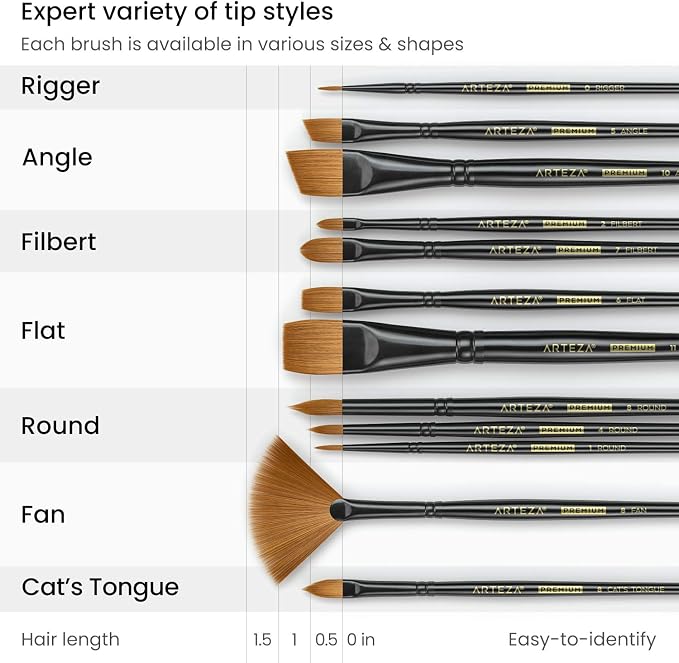 ARTEZA Paint Brushes Set of 12, Acrylic and Oil Paint Brushes with Synthetic Hair, Rust-Resistant Ferrules and Birch Wooden Handles for Canvas, Crafts, Blending, Layering, and Detail Work