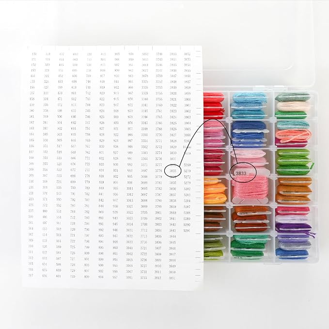 Rumhut 2 Pack Embroidery Floss Organizer with 216 Pcs Embroidery Floss, Floss Windern and Floss Number Stickers for Craft DIY Embroidery Sewing Storage