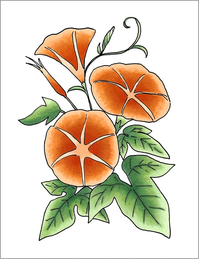 Copic Sketch Fusion #4 Orange 3-Color Refillable Dual-Tip Alcohol Markers