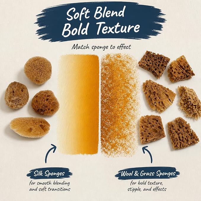 Natural Sea Sponges 10pk for Artists, 2"-4" Unbleached, Painting & Crafts