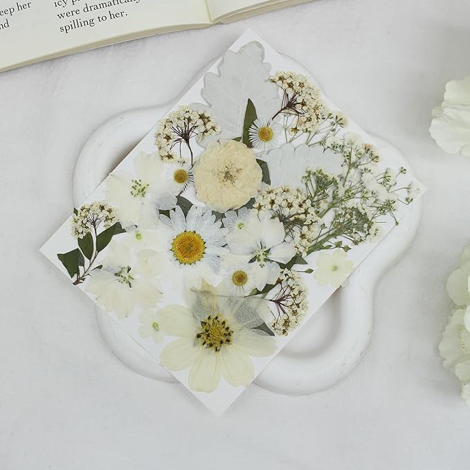 100PCS Stylifeo Natural Dried Pressed Flowers Leaves for Resin Molds Crafts