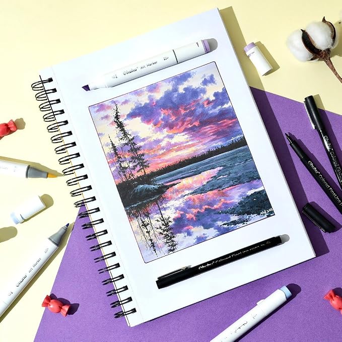 Ohuhu Alcohol Markers Double Tipped Art Marker Set for Artists Adults Coloring Sketch Illustration - Chisel & Fine - 100 Colors - Oahu of Ohuhu Markers - Refillable - AP Certificated | AP Certified Art Marker, Dual Tips Alcohol-based for Artists Beginn...