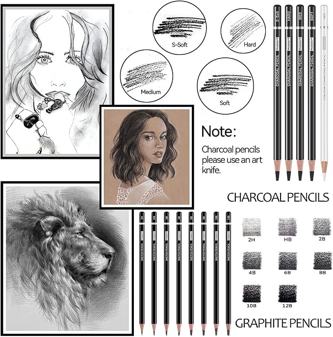PANDAFLY Drawing Sketching Pencil Set, 22 Piece, Graphite Pencils (12B-2H) | Pro Art Pencil Kit with Black and White Charcoal Pencils, Charcoal Sticks, Stumps, Eraser, Sharpeners, Sketch Set for Artists