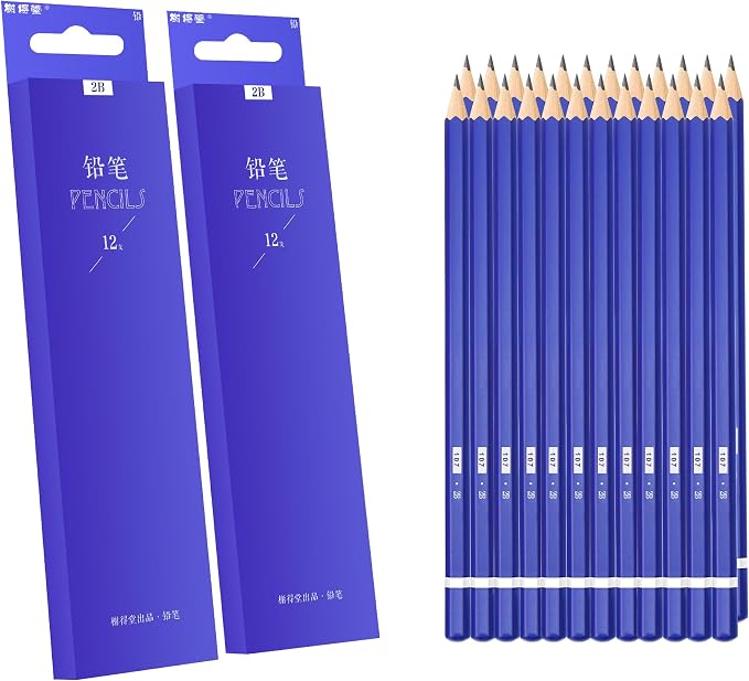 XDT#2B Drawing Pencils 24 Piece Set, Pro Art Graphite Sketching&Shading Supplies, Ideal For Kid Beginner Student Adults Artist
