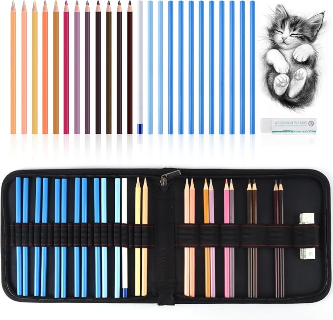 Professional Drawing Set,12 Colored Pencils,12 Graphite Pencils,Eraser,Case | Portable Travel Colored Pencil Case,Sketching Shading Blending Art Supplies,Gifts for Artists Adults Beginners.Skin Black