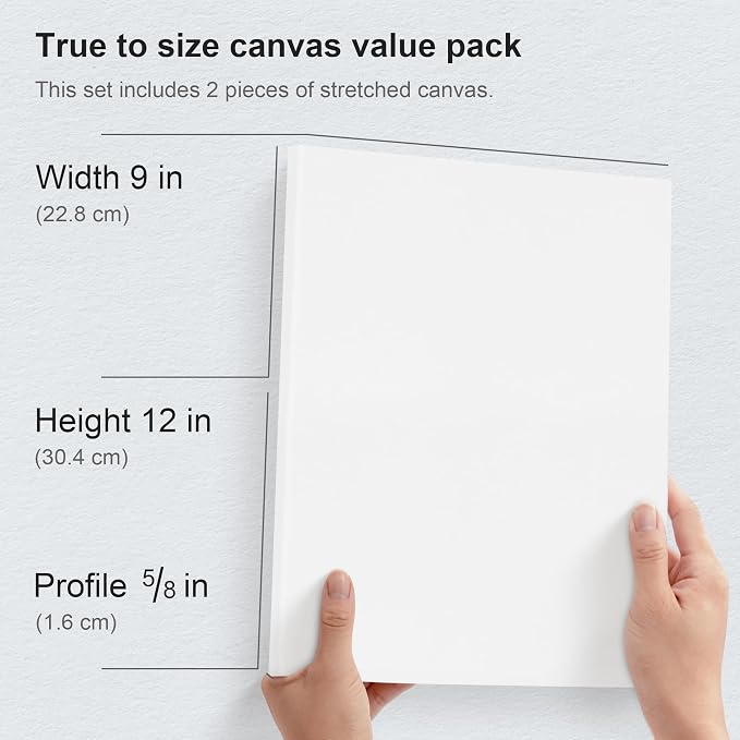 PHOENIX 9x12 Inch Pack of 2 Canvas - Stretched Canvases for Painting, 8 Oz Triple Primed 5/8 Inch Profile 100% Cotton White Blank Framed Canvas for Oil Acrylic & Pouring Art