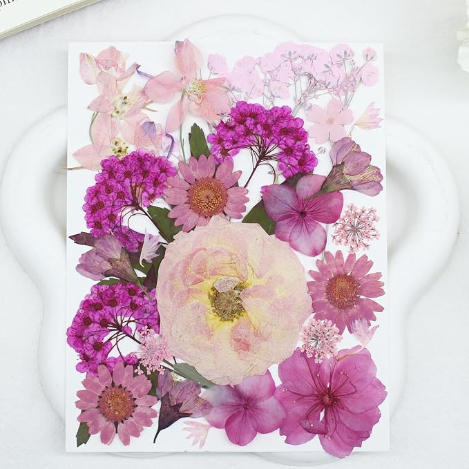 100PCS Natural Dried Pressed Flowers Leaves for Resin Molds Crafts