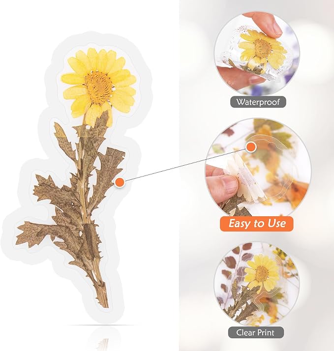 160pcs Transparent Floral & Plant Stickers for Scrapbooking