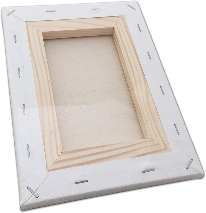 LWR CRAFTS Stretched Canvas 4" X 6" Pack of 6
