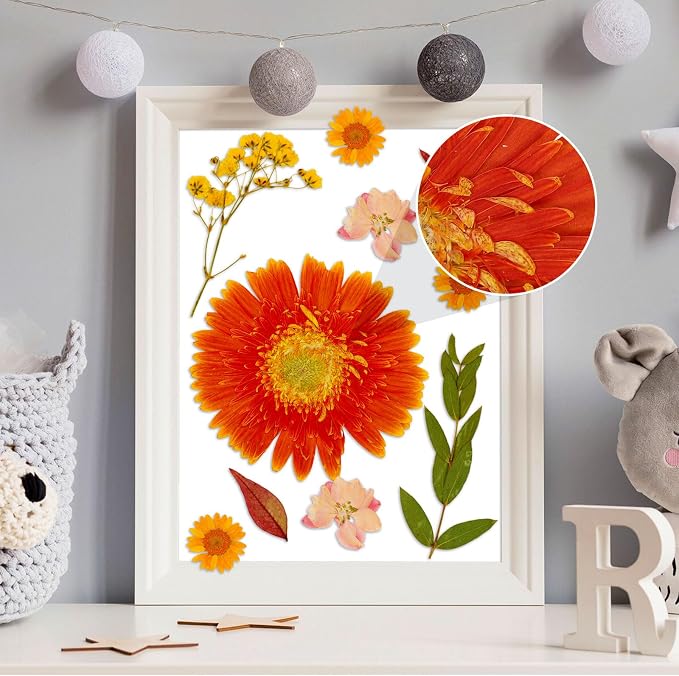 Augshy Pressed Dried Flowers, 92Pcs Real Natural Dried Flowers for Resin Molds Big Colorful Dry Pressed Floral for Crafts DIY Jewelry, Soap Making, Scrapbooking, Candle, Epoxy Resin Supplies