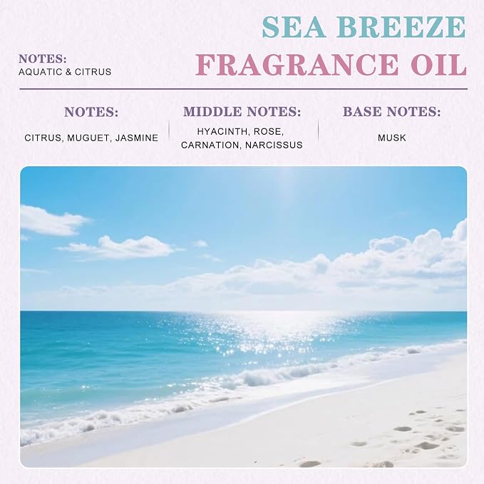 EUQEE Sea Breeze Fragrance Oil for Soap Making(3.38Fl Oz)