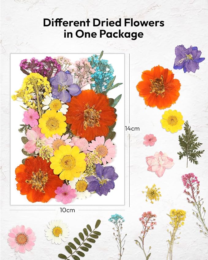 Dried Flowers, Resiners 174Pcs Pressed Flowers for Craft Colorful Real Natural Dried Flowers Dry Leaves Kit for DIY Making Crafts Resin Soap Candle Scrapbook Supplies Card Making Jewelry