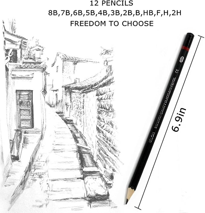 Professional Sketch pencils Drawing pencils set for Kids and Adults,Art sketching pencils for Artists Beginner(8B-2H).(12-Count)