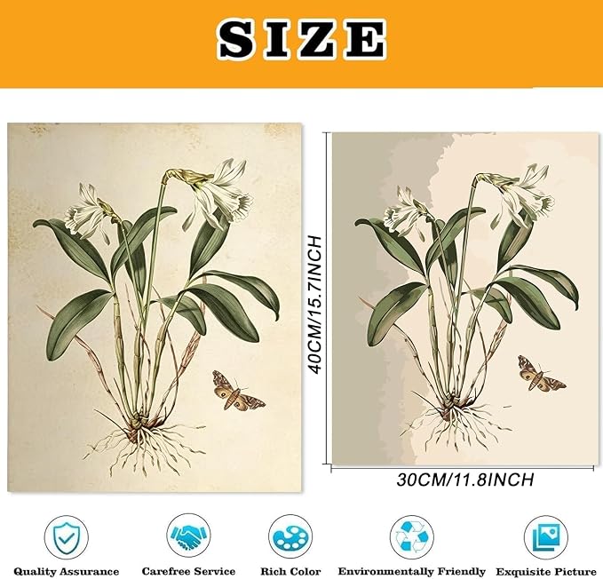 4 Pack Cute Flower Paint by Numbers Kit for Adults Beginner (Without Frame)