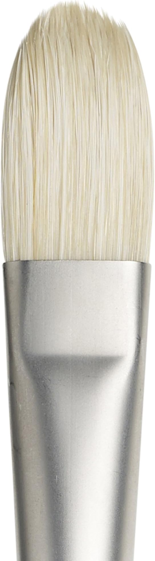 Winsor & Newton Artists' Oil Hog Paint Brush, Long Handle Size 10, Filbert | Handcrafted with interlocked Chungking bristles; Have spring, stiff, & flagged allowing large amounts of colour to be carried