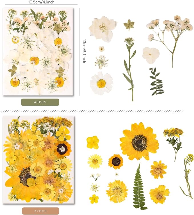 330PCS Natural Color Pressed Dried Flowers for DIY Crafts Corlor-9