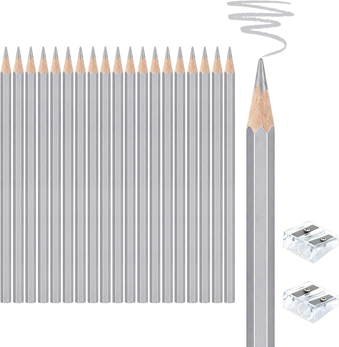 20 PCS Silver Colored Pencils, Pre-sharpened Professional Wooden Art Pencils Set for Artists Painting | Premium Drawing Sketching Supplies