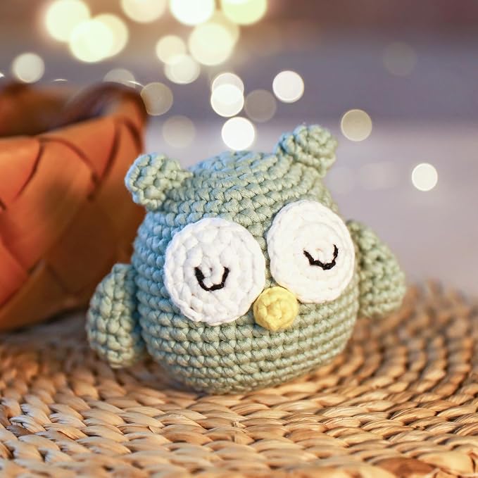 Complete Beginners Crochet Kit - Owl Crochet Kit, All You Need for Crocheting, Step-by-Step Video Tutorials, Instruction, Tools, Holiday Birthday Gift for Adults, Teens