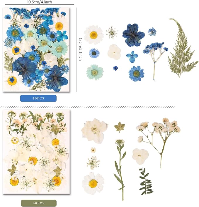 330PCS Natural Color Pressed Dried Flowers for DIY Crafts Corlor-9