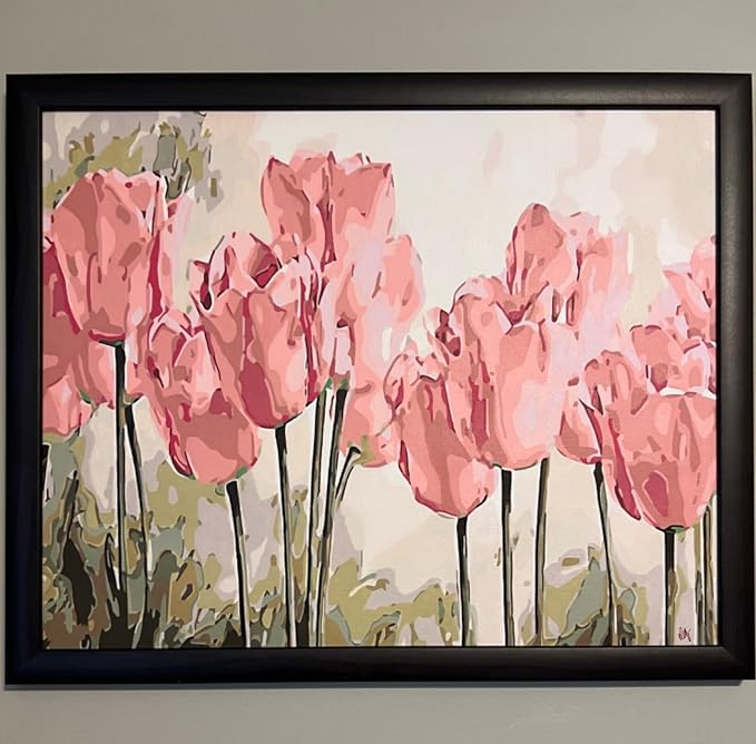 BAISITE Paint by Numbers Kit for Adults Beginners,20" Wx16 L Canvas for Painting Kits for Adults in Colorful Box Poppy Flowers-BSC002-Already Stretched on a Wooden Frame