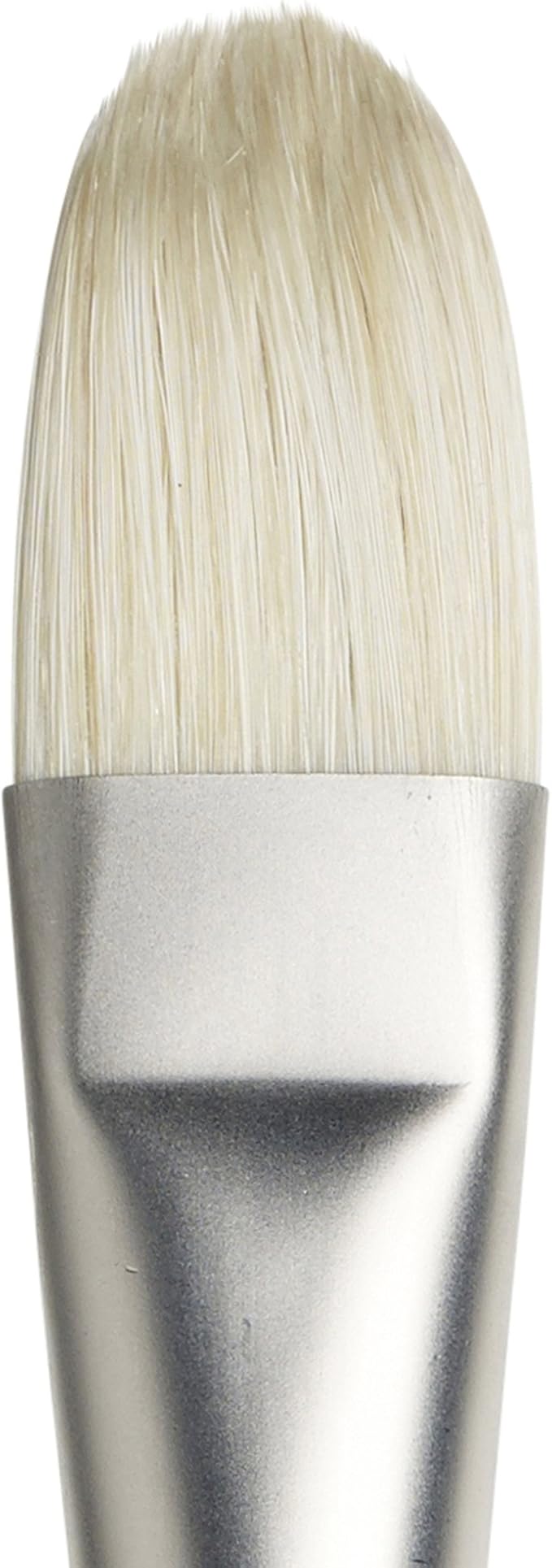 Winsor & Newton Artists' Oil Hog Paint Brush, Long Handle Size 12, Filbert | Handcrafted with interlocked Chungking bristles; Have spring, stiff, & flagged allowing large amounts of colour to be carried