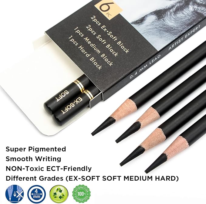 Brusarth Professional Charcoal Pencils Drawing Set - 6 Pieces Soft Medium and Hard Charcoal Pencils for Drawing, Sketching, Shading | Soft Medium and Hard Charcoal Pencils for Drawing, Sketching, Shading, Charcoal Pencils for Beginners & Artists