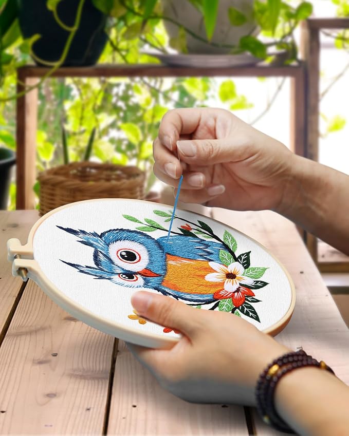TINDTOP Embroidery Kit for Adults, Owl Embroidery Practice Kit