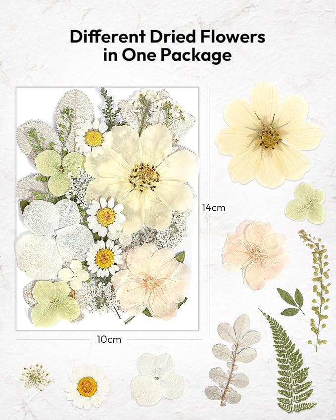 Dried Flowers, Resiners 100Pcs Pressed Flowers for Craft | White Real Natural Dried Flowers Dry Leaves Kit for DIY Making Craft Resin Soap Candle Scrapbook Supplies Card Making Jewelry