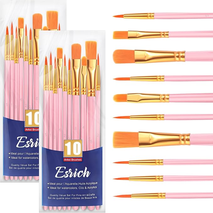ESRICH 20PCS Pink Paint Brushes, Paint Brush for Acrylic Painting | Artist Paintbrushes for Oil Watercolor, Body Face Rock Canvas, Small Paint Brushes for Kids