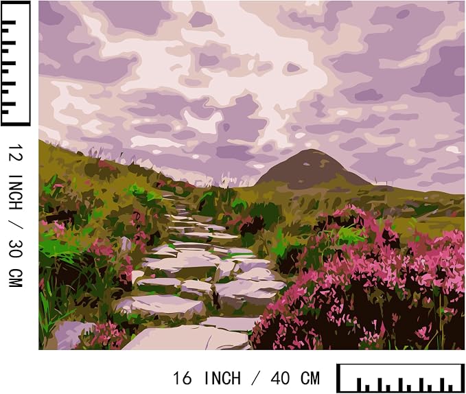 BAISITE Paint by Numbers Kit for Adults Beginners,16" Wx12 L 2 Pack Canvas for Painting Kits for Adults in Colorful Box-BAIPBN655-656