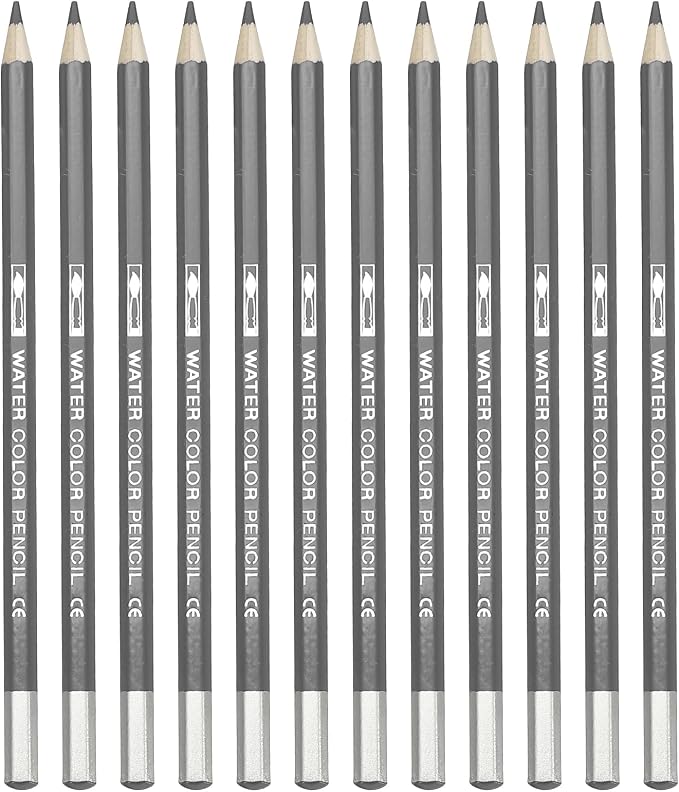 PATIKIL Watercolor Pencil, 12Pcs Water Soluble Pencils for Blending, Coloring, Sketch Drawing, Painting, Grey