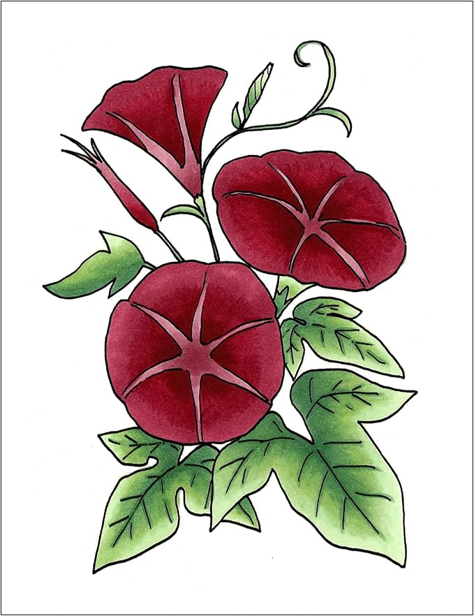 Copic Sketch Fusion #3 Red 3-Color Refillable Dual-Tip Alcohol Markers