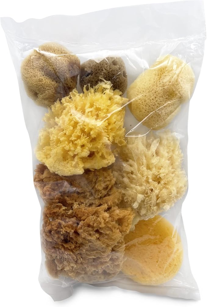 Natural Sea & Synthetic Sponges 7pk, Assorted Sizes, Painting & Crafts