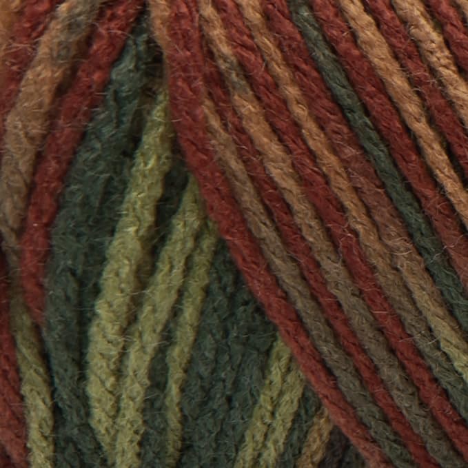 Red Heart Super Saver Yarn - Fall