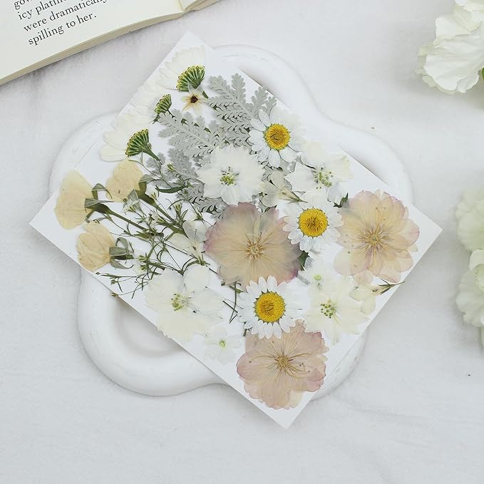 100PCS Stylifeo Natural Dried Pressed Flowers Leaves for Resin Molds Crafts