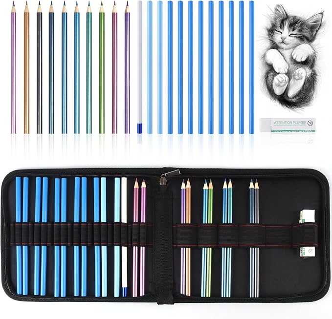 Professional Drawing Set,10 Colored Pencils,12 Graphite Pencils,Eraser,Case | Portable Travel Colored Pencil Case,Sketching Shading Blending Art Supplies,Gifts for Artists Adults Beginners.Metallic Black