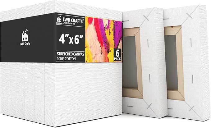 LWR CRAFTS Stretched Canvas 4" X 6" Pack of 6