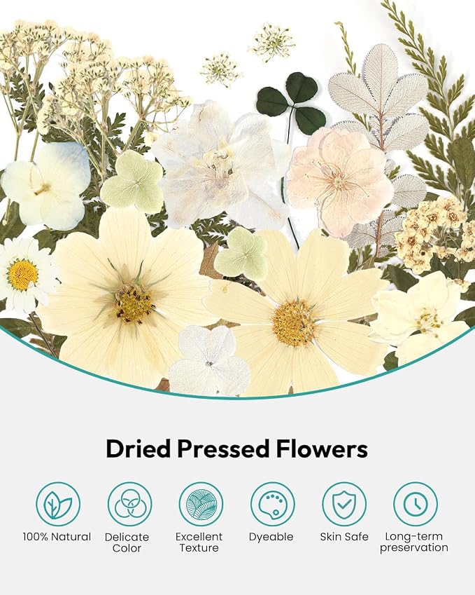 Dried Flowers, Resiners 100Pcs Pressed Flowers for Craft | White Real Natural Dried Flowers Dry Leaves Kit for DIY Making Craft Resin Soap Candle Scrapbook Supplies Card Making Jewelry