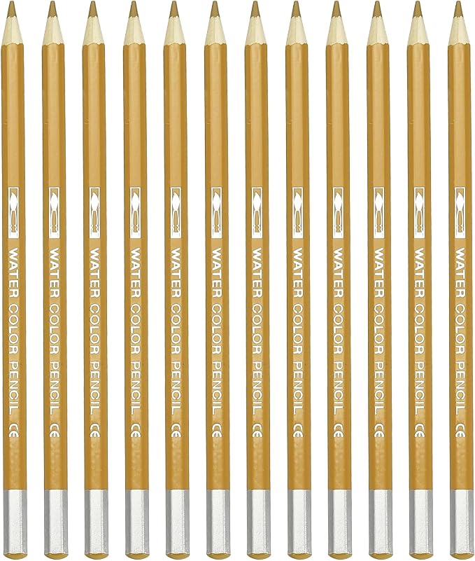 PATIKIL Watercolor Pencil, 12Pcs Water Soluble Pencils for Blending, Coloring, Sketch Drawing, Painting, Bright Orange