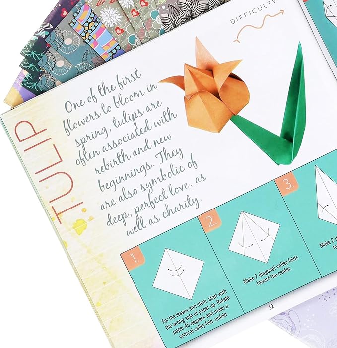 LEISURE ARTS Origami Kit, 60 Folding Sheets, 20 Designs, 61 Piece
