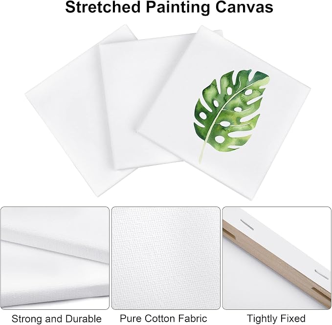 Aodaer 12 Pieces Stretched Canvas for Painting 6 Inch Blank Canvas Panels Triangle Square Hexagon Round Shape Canvases Boards Art Supplies for Acrylic Pouring Oil Painting